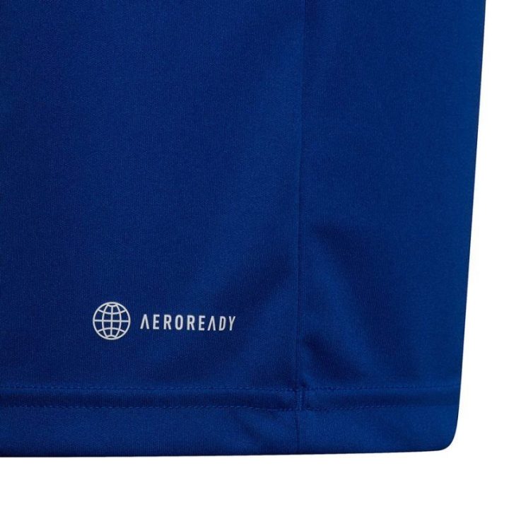 Vaikiški polo marškinėliai adidas Entrada 22, mėlyni