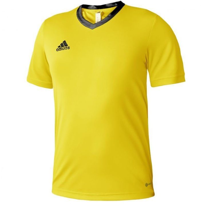 Vyriški treniruočių marškinėliai adidas Entrada 22, geltoni