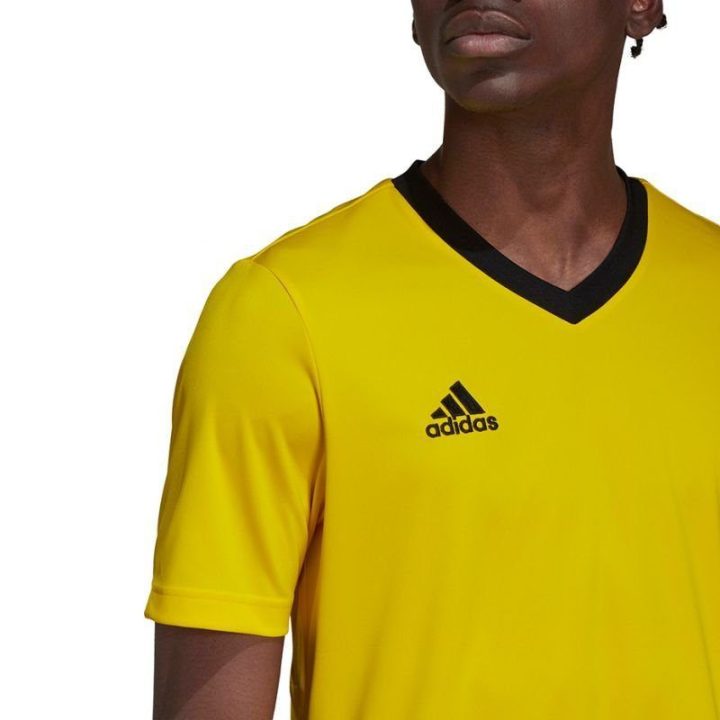 Vyriški treniruočių marškinėliai adidas Entrada 22, geltoni