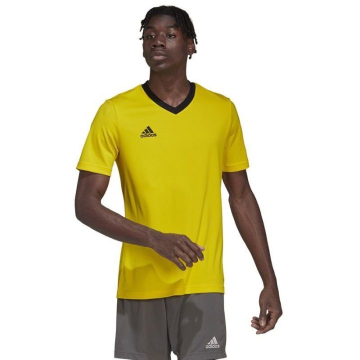 Vyriški treniruočių marškinėliai adidas Entrada 22, geltoni