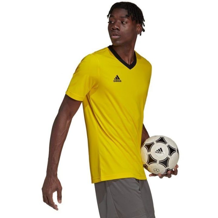 Vyriški treniruočių marškinėliai adidas Entrada 22, geltoni