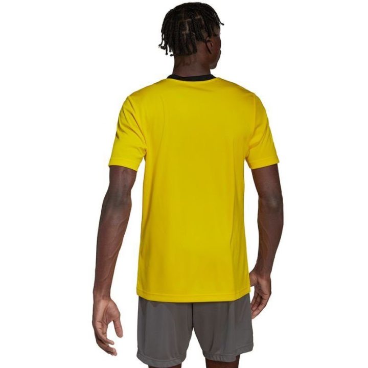 Vyriški treniruočių marškinėliai adidas Entrada 22, geltoni
