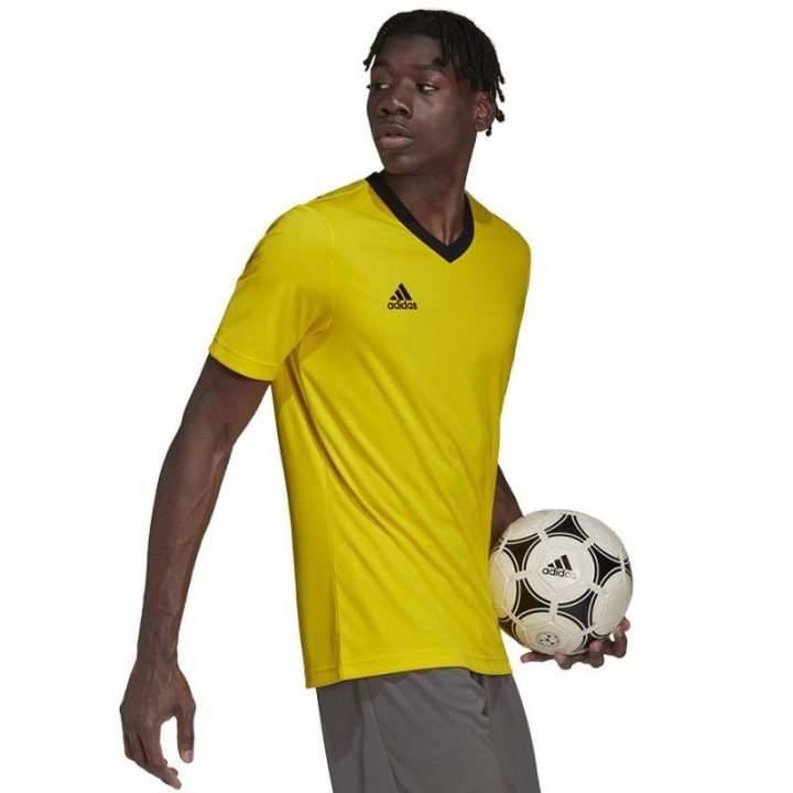 Vyriški treniruočių marškinėliai adidas Entrada 22, geltoni