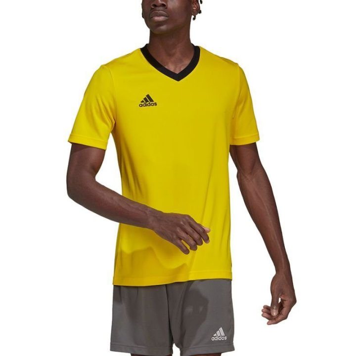 Vyriški treniruočių marškinėliai adidas Entrada 22, geltoni