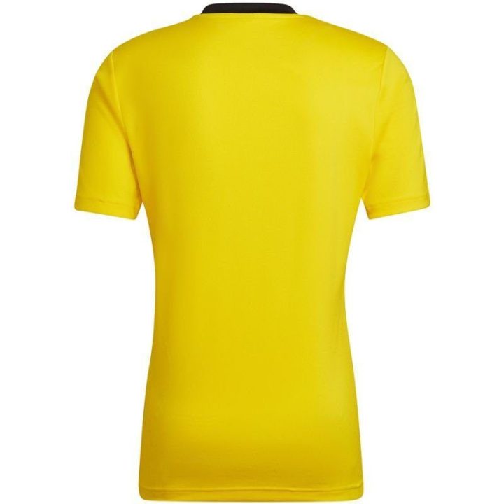 Vyriški treniruočių marškinėliai adidas Entrada 22, geltoni