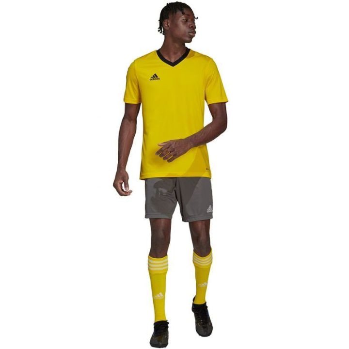 Vyriški treniruočių marškinėliai adidas Entrada 22, geltoni