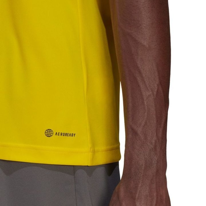 Vyriški treniruočių marškinėliai adidas Entrada 22, geltoni