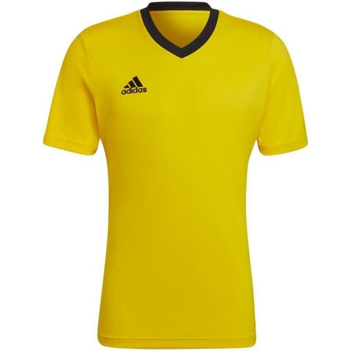 Vyriški treniruočių marškinėliai adidas Entrada 22, geltoni