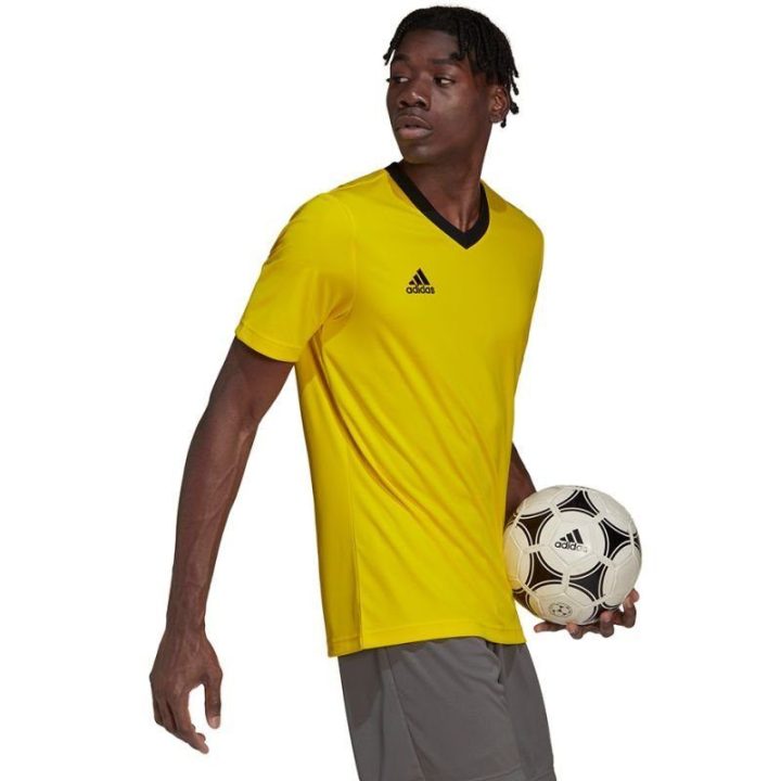 Vyriški treniruočių marškinėliai adidas Entrada 22, geltoni