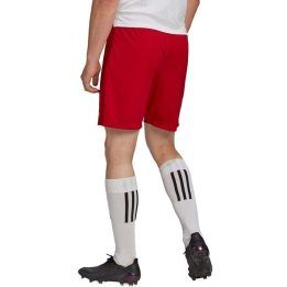 Vyriški treniruočių šortai adidas Entrada 22, raudoni