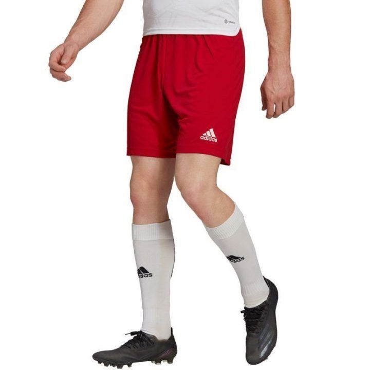 Vyriški treniruočių šortai adidas Entrada 22, raudoni