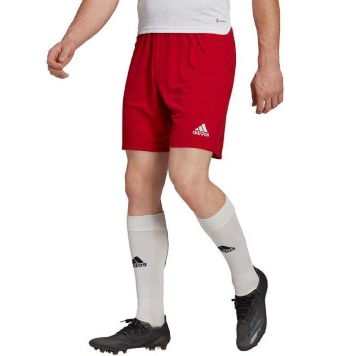 Vyriški treniruočių šortai adidas Entrada 22, raudoni