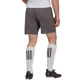 Vyriški treniruočių šortai adidas Entrada 22, pilki