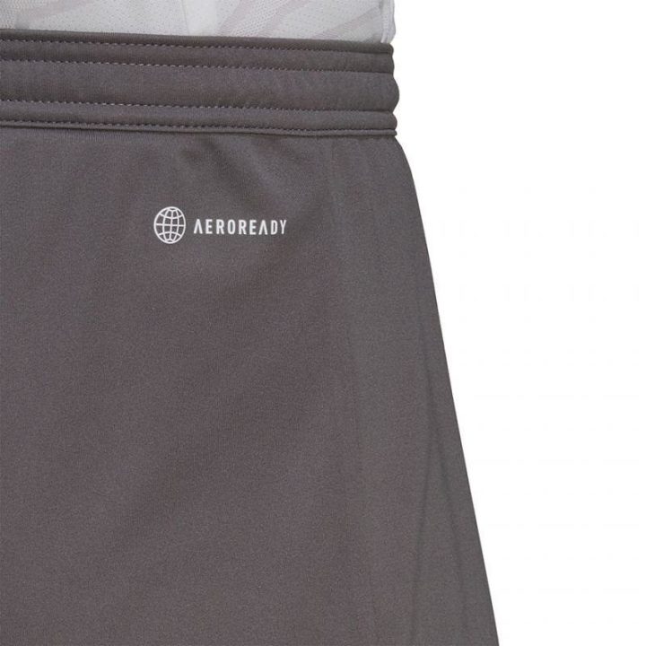 Vyriški treniruočių šortai adidas Entrada 22, pilki