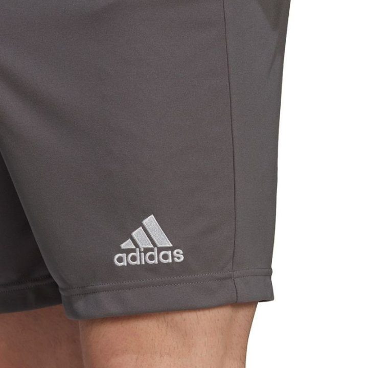 Vyriški treniruočių šortai adidas Entrada 22, pilki
