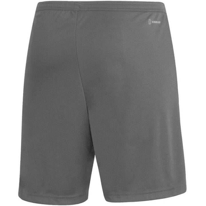 Vyriški treniruočių šortai adidas Entrada 22, pilki