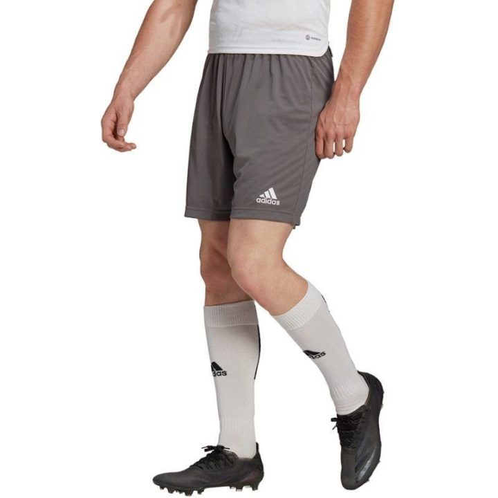 Vyriški treniruočių šortai adidas Entrada 22, pilki