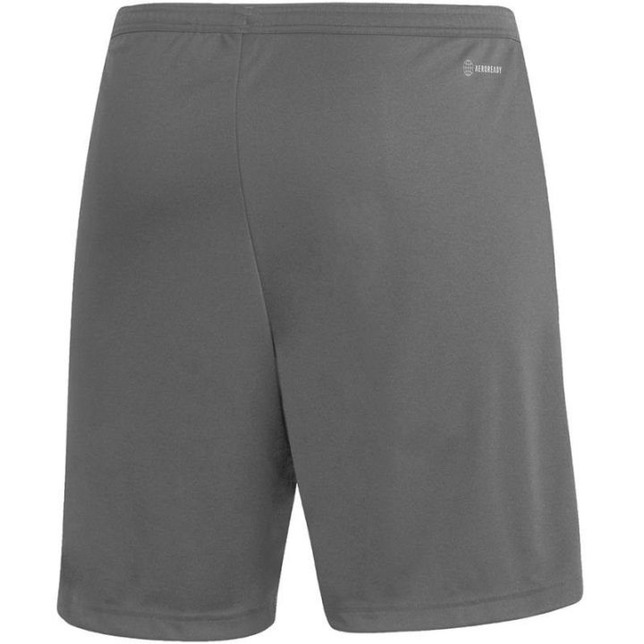 Vyriški treniruočių šortai adidas Entrada 22, pilki