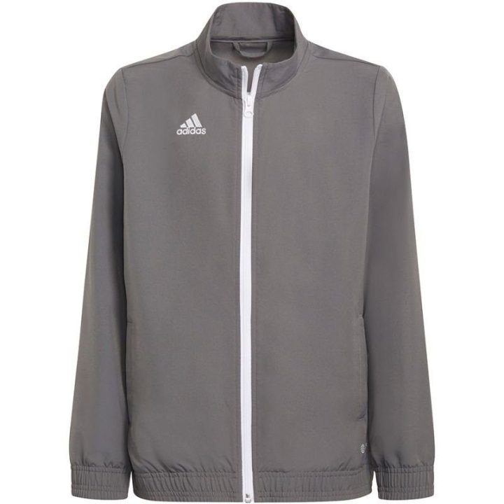 Vaikiškas džemperis adidas Entrada 22 Presentation, pilkas