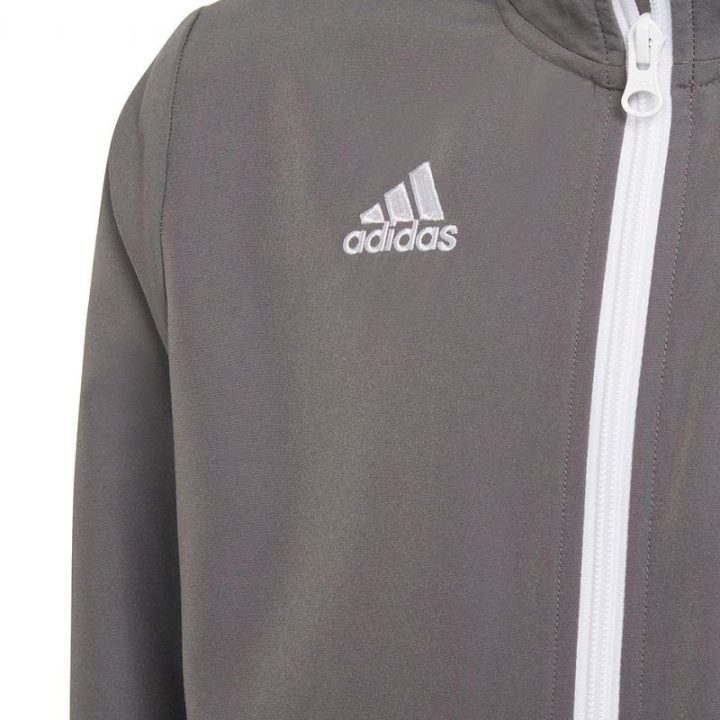 Vaikiškas džemperis adidas Entrada 22 Presentation, pilkas