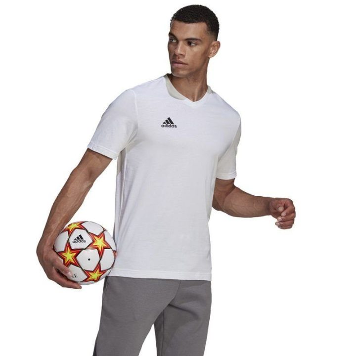 Vyriški medvilniniai marškinėliai adidas Entrada 22, balti
