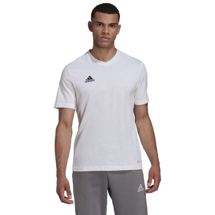 Vyriški medvilniniai marškinėliai adidas Entrada 22, balti