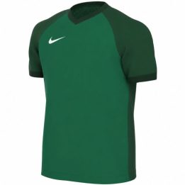 Vaikiški futbolo marškinėliai Nike Team Dri-FIT Trophy VI, žali