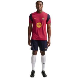 Vyriški Dri-FIT marškinėliai Nike FC Barcelona, bordo