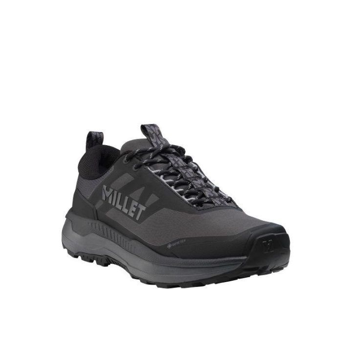 Vyriški žygio batai su GORE-TEX membrana Millet Seneca GTX, pilki