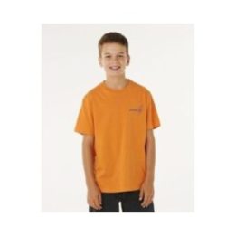 Marškinėliai berniukams Rip Curl Eternal Shred Art, oranžiniai