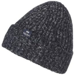 Vyriška kepurė Helly Hansen Cozy Beanie