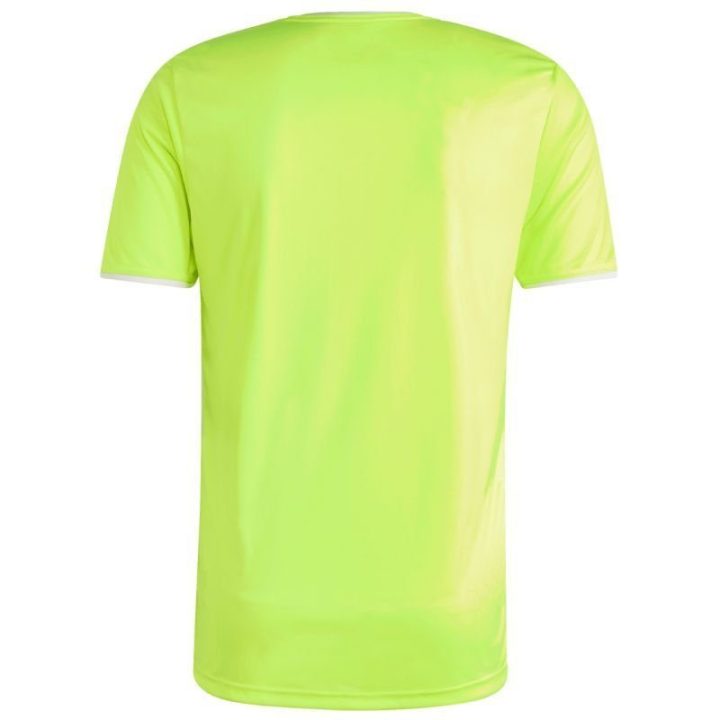 Vyriški prigludę marškinėliai adidas Entrada 26, salotiniai