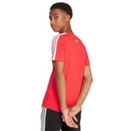 Vaikiški marškinėliai adidas Codes Collegiate Graphic, raudoni