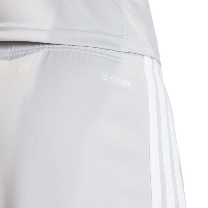 Vyriški įprasto kirpimo šortai adidas Tiro 26 League, pilki