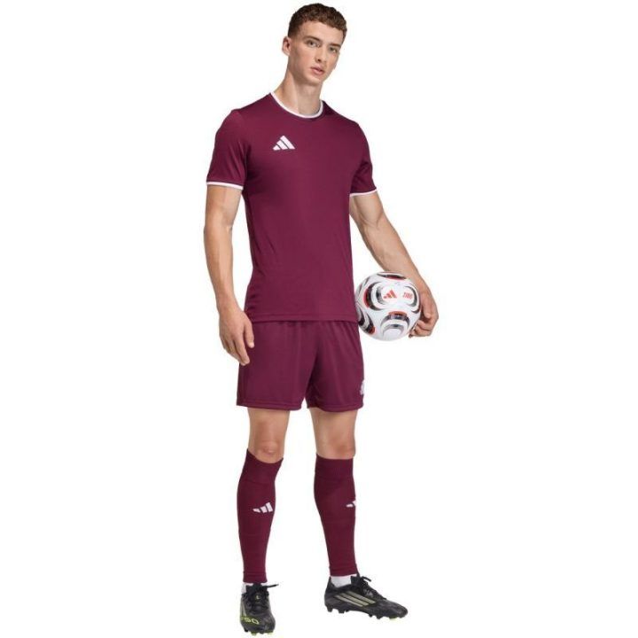 Vyriški šortai adidas Entrada 26, bordo