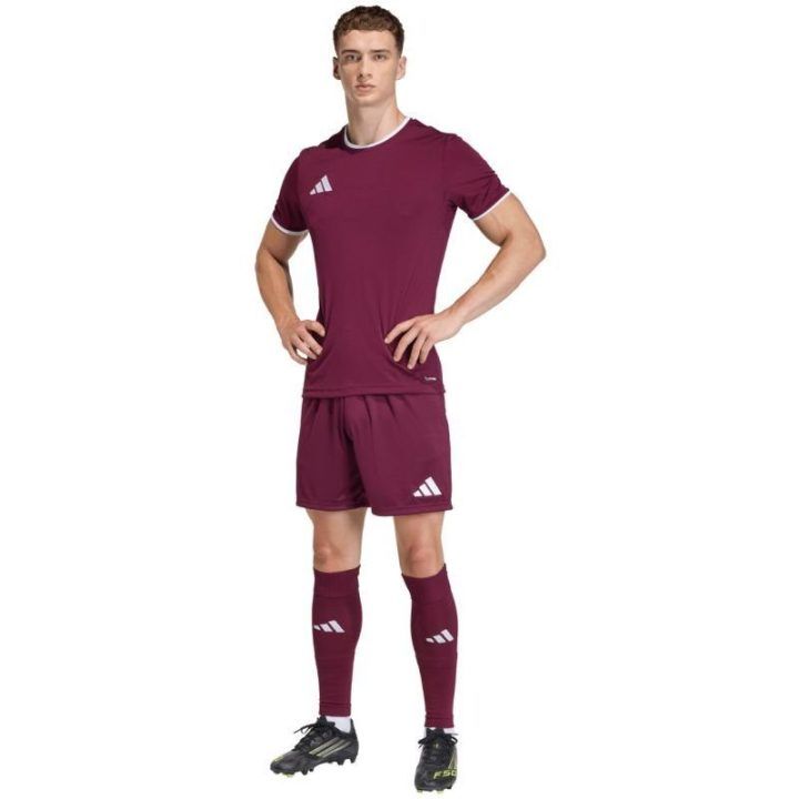 Vyriški šortai adidas Entrada 26, bordo