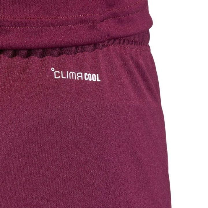 Vyriški šortai adidas Entrada 26, bordo