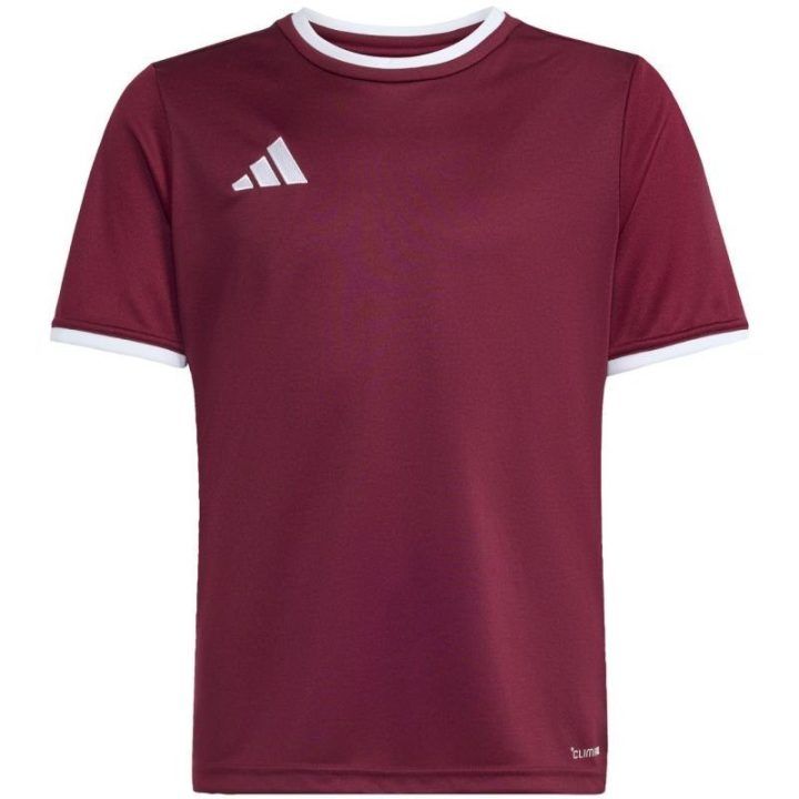 Vaikiški futbolo marškinėliai adidas Entrada 26, bordo