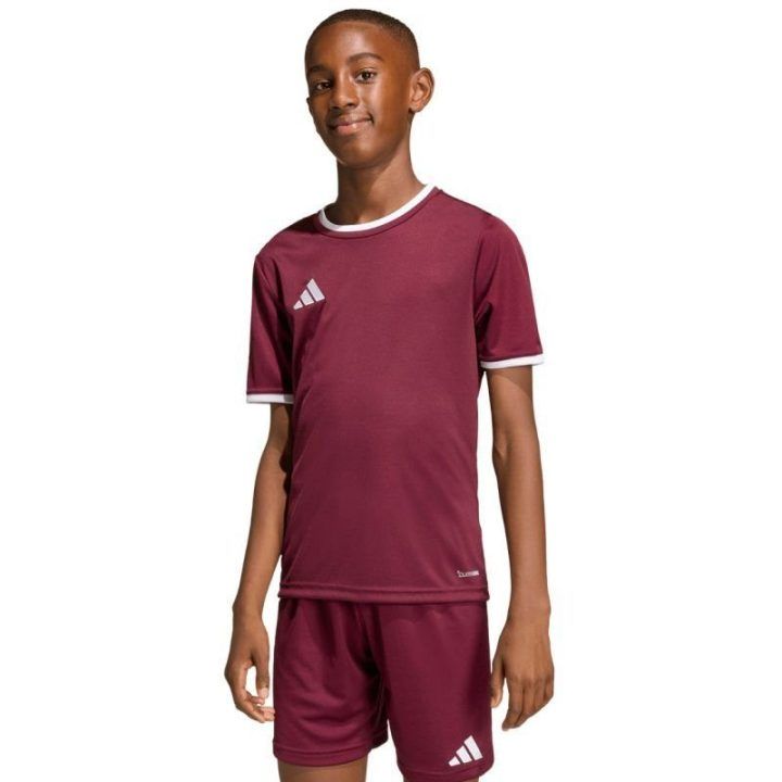 Vaikiški futbolo marškinėliai adidas Entrada 26, bordo