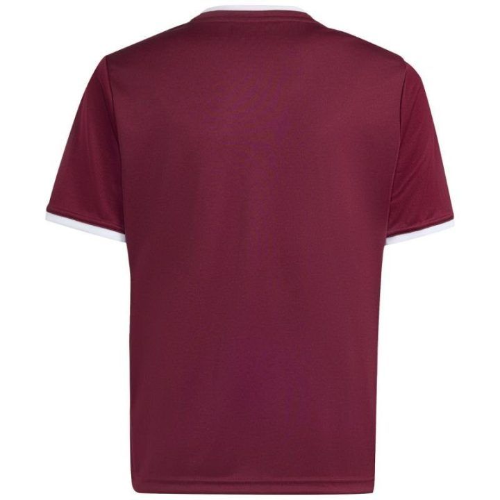 Vaikiški futbolo marškinėliai adidas Entrada 26, bordo