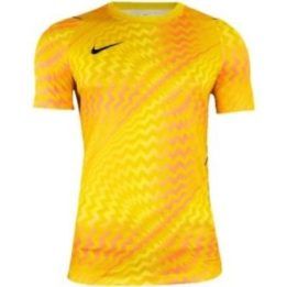 Vyriški vartininko marškinėliai Nike Gardien VI su įsiuvais, geltoni
