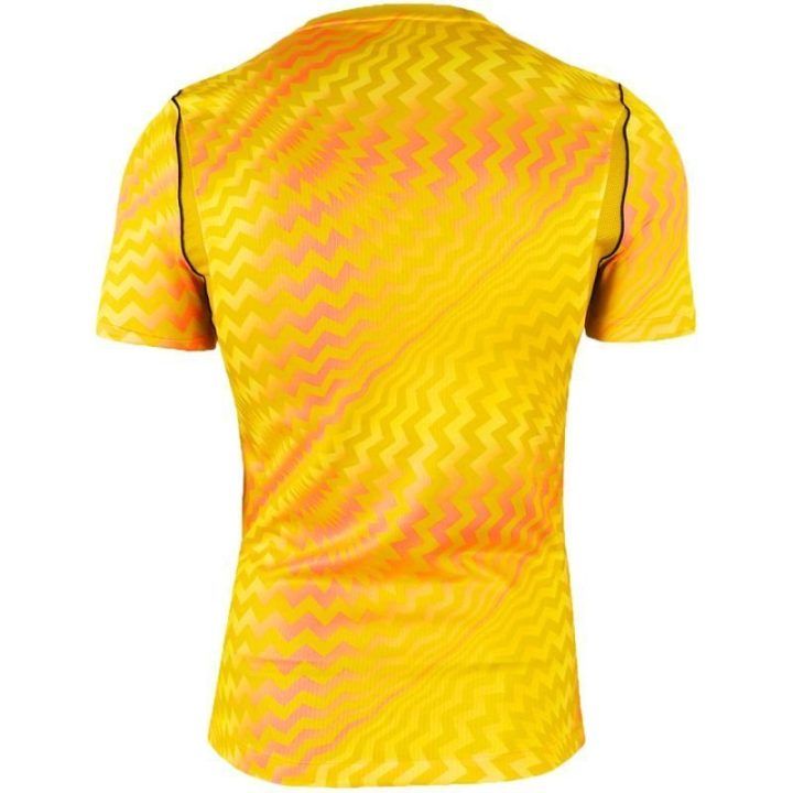 Vyriški vartininko marškinėliai Nike Gardien VI su įsiuvais, geltoni
