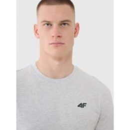 Vyriški medvilniniai marškinėliai 4F, 160 g/m², pilki