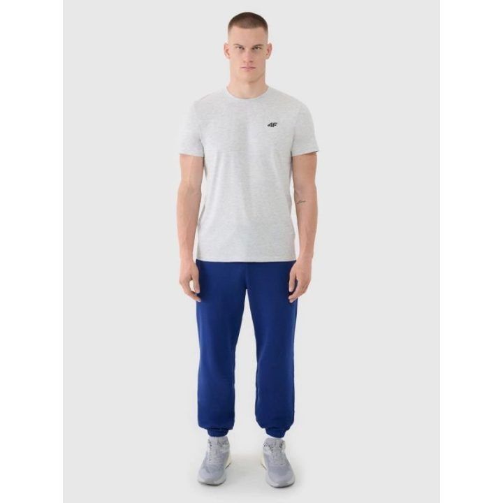Vyriški medvilniniai marškinėliai 4F, 160 g/m², pilki