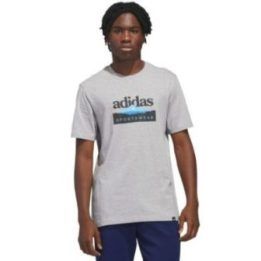 Vyriški marškinėliai adidas Sportsman Mountain Graphic, šviesiai pilki