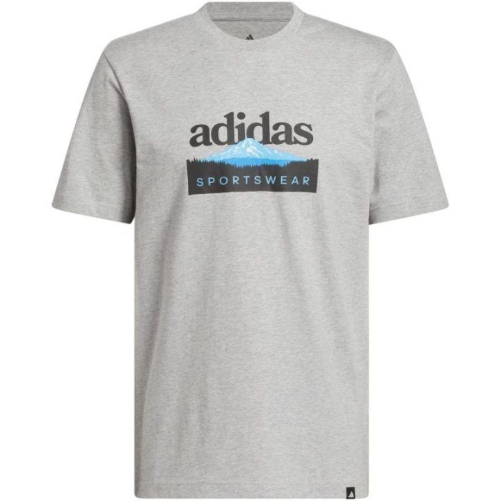 Vyriški marškinėliai adidas Sportsman Mountain Graphic, šviesiai pilki