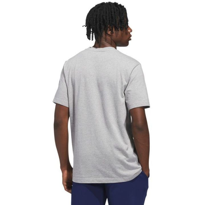 Vyriški marškinėliai adidas Sportsman Mountain Graphic, šviesiai pilki