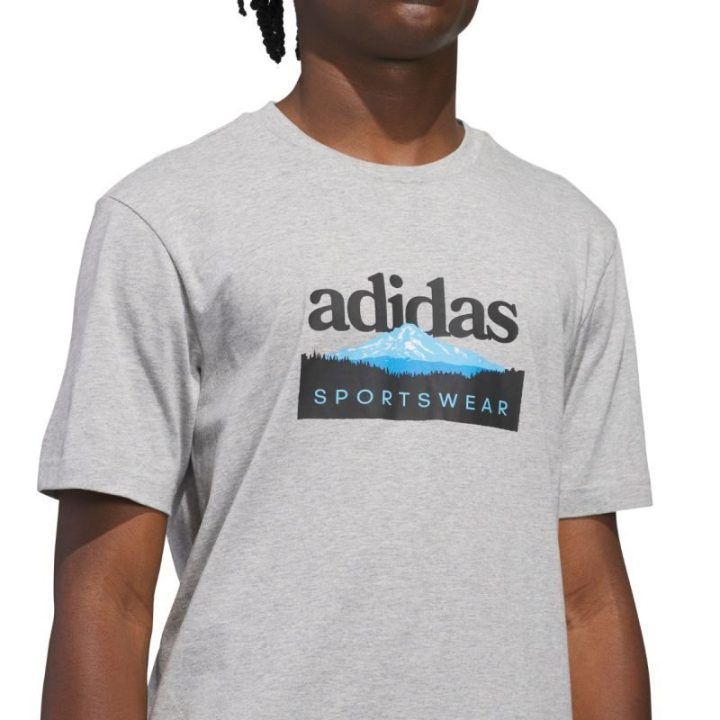 Vyriški marškinėliai adidas Sportsman Mountain Graphic, šviesiai pilki