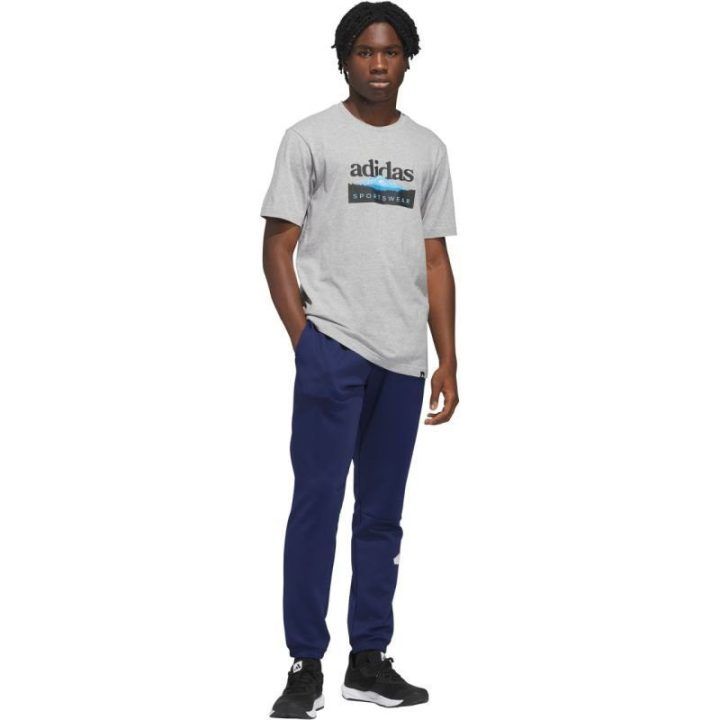 Vyriški marškinėliai adidas Sportsman Mountain Graphic, šviesiai pilki