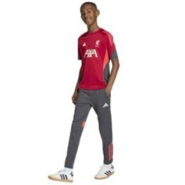 Vaikiški futbolo treniruočių marškinėliai adidas Liverpool FC Training